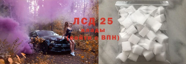ПСИЛОЦИБИНОВЫЕ ГРИБЫ Алексин